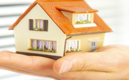 Tri Cities PROPERTY SEARCH
